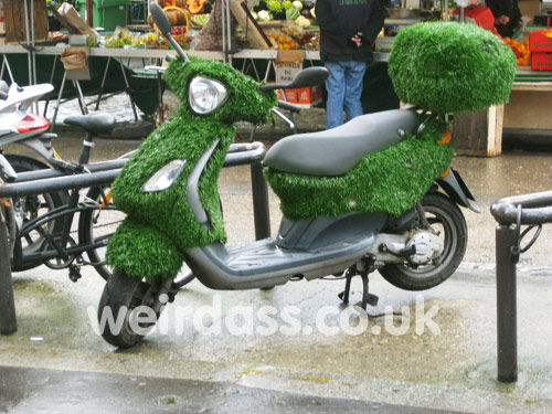 Going Green – REALLY Green!