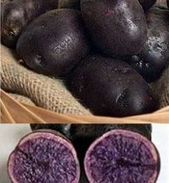 Rainbow Tatties