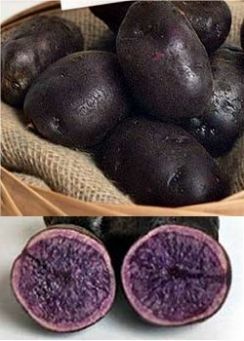 Rainbow Tatties