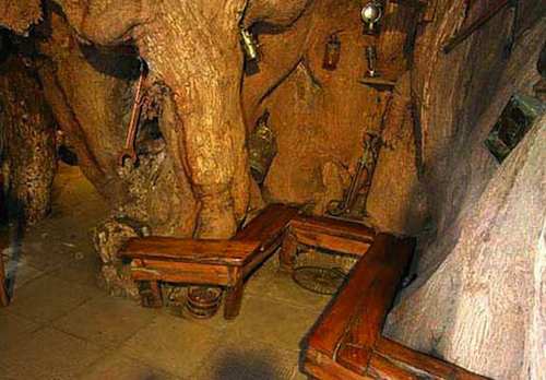 Interior of the pub in a baobab tree. Showing there is actual seating inside.