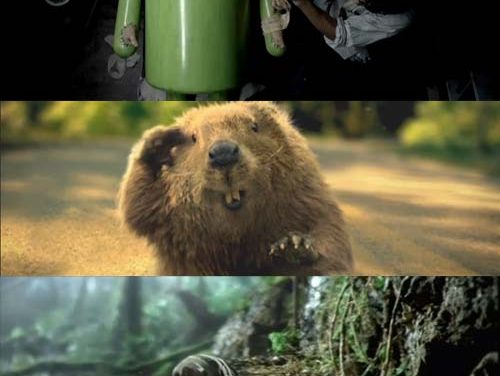 Ads of the Superbowl – Androids, Beetles and Beavers. Oh MY