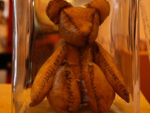 Placenta Teddy, your baby’s new best friend
