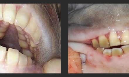 Fish with Human Teeth and Taste for Testicles found in Michigan Lakes